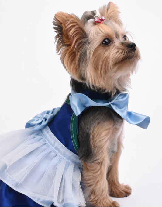 Blue Bow Tulle Pet Dress