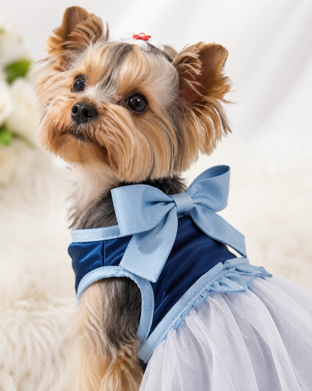 Blue Bow Tulle Pet Dress