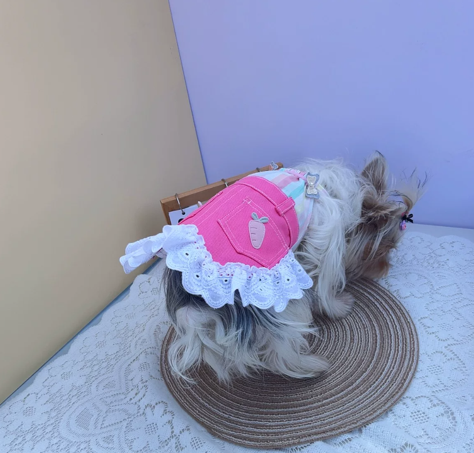 Pink Carrot Pet Dress